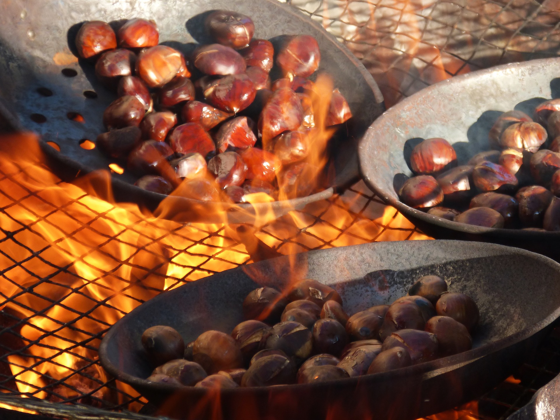 Chestnut Festival