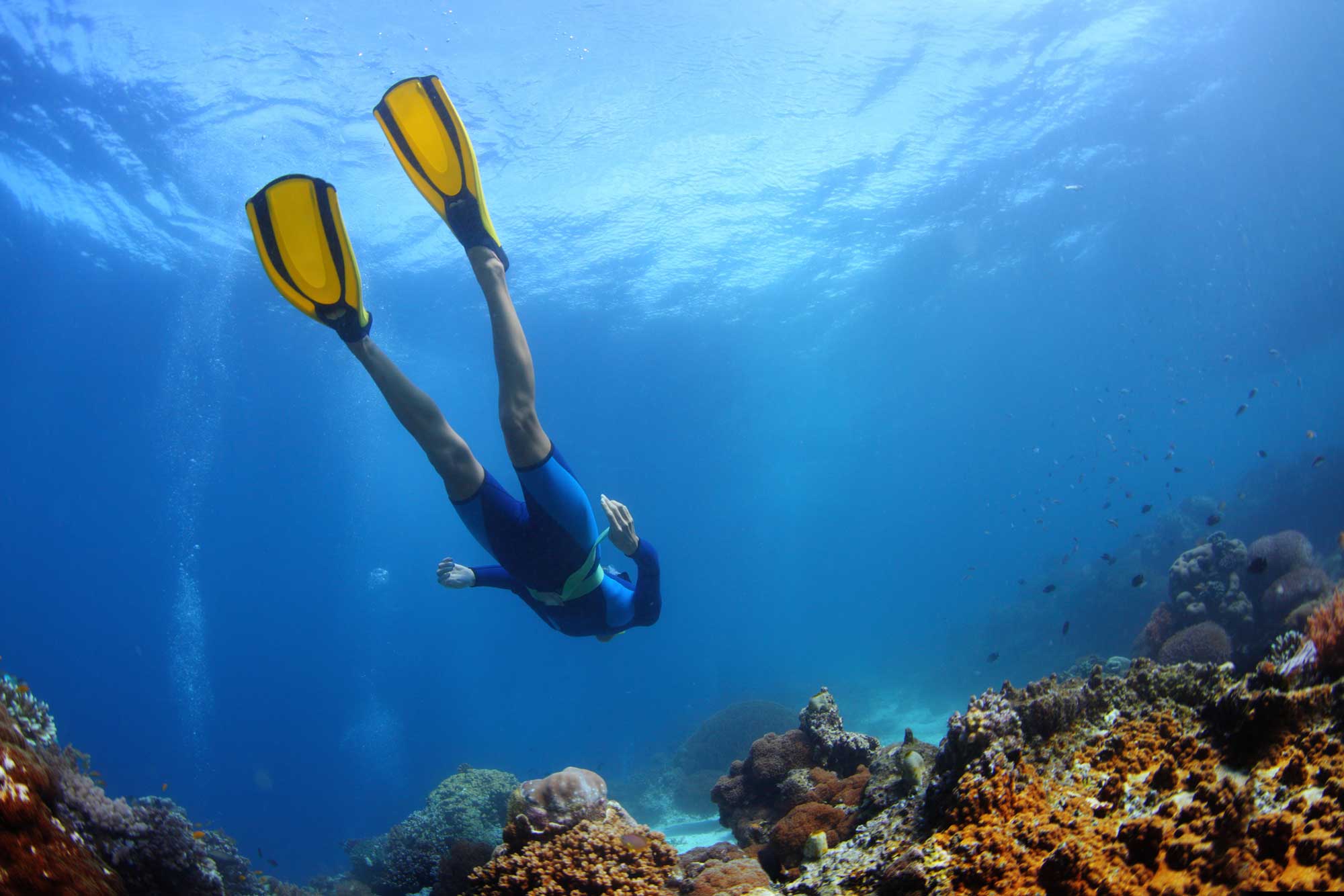 Diver above a reef.