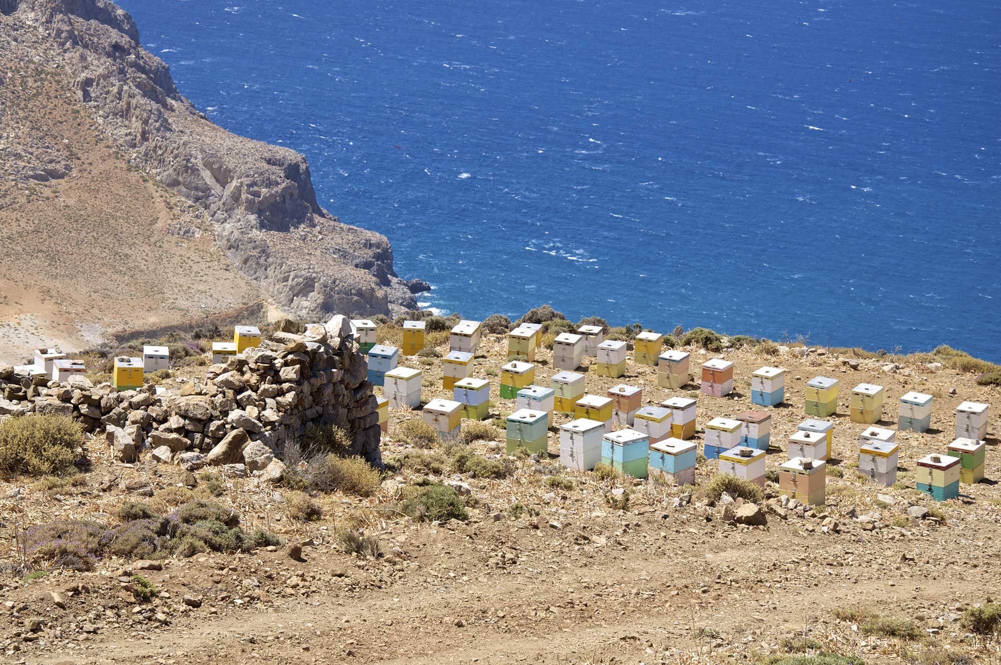 Beekeeping on Crete