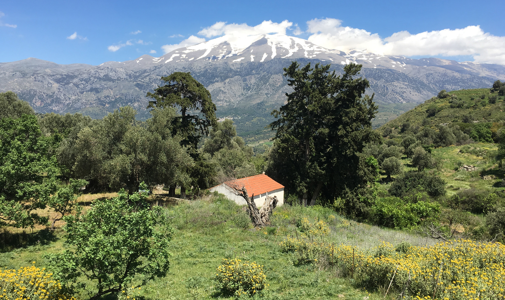 Savour spring in the Amari valley